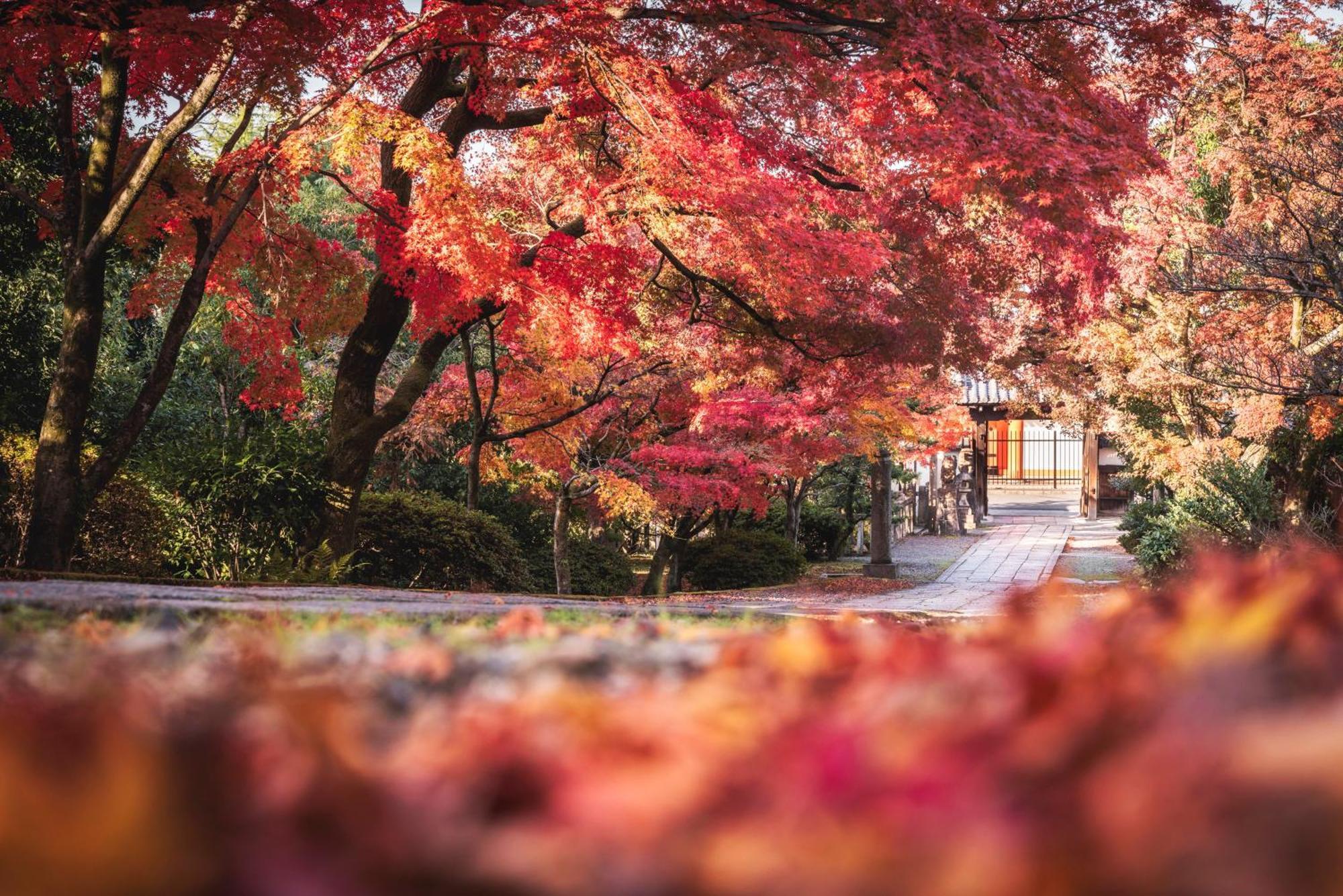 Omo5 Kyoto Gion By Hoshino Resorts Kültér fotó
